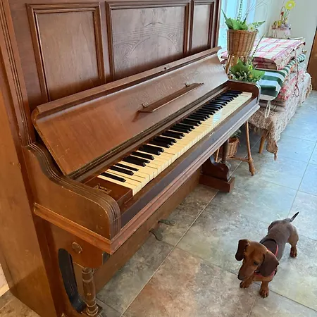 Kalamajka 펜션
